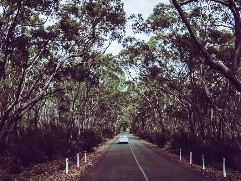 Beeindruckende Reisefotos: #alphaddicted in Australien
