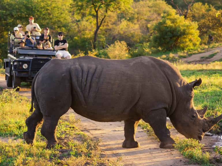 Südafrika und Photo+Adventure laden zur Safari