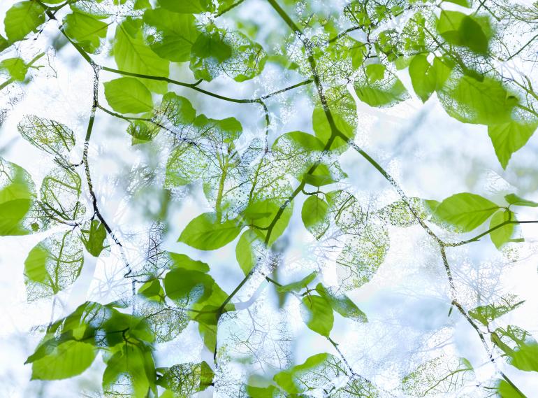 Diese Naturfotos werden auch Sie begeistern