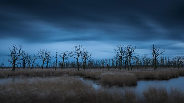 Diese Naturfotos werden auch Sie begeistern