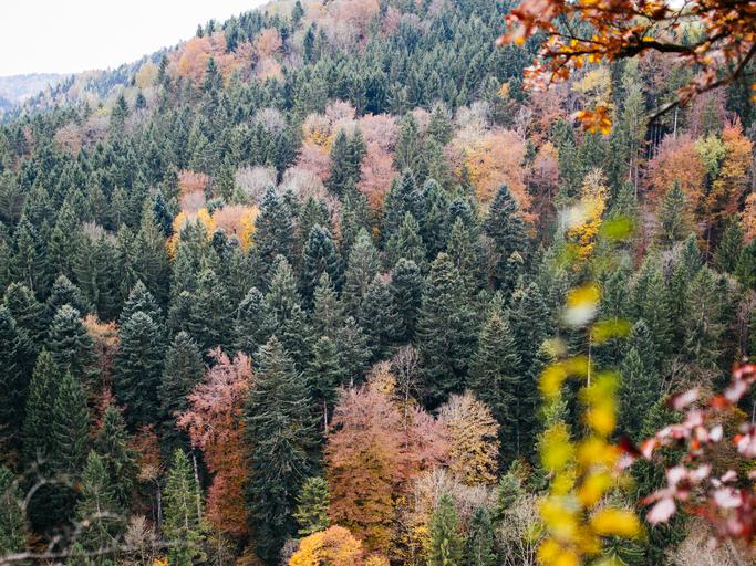 Foto-Basics: Tiefenwirkung bei Landschaften