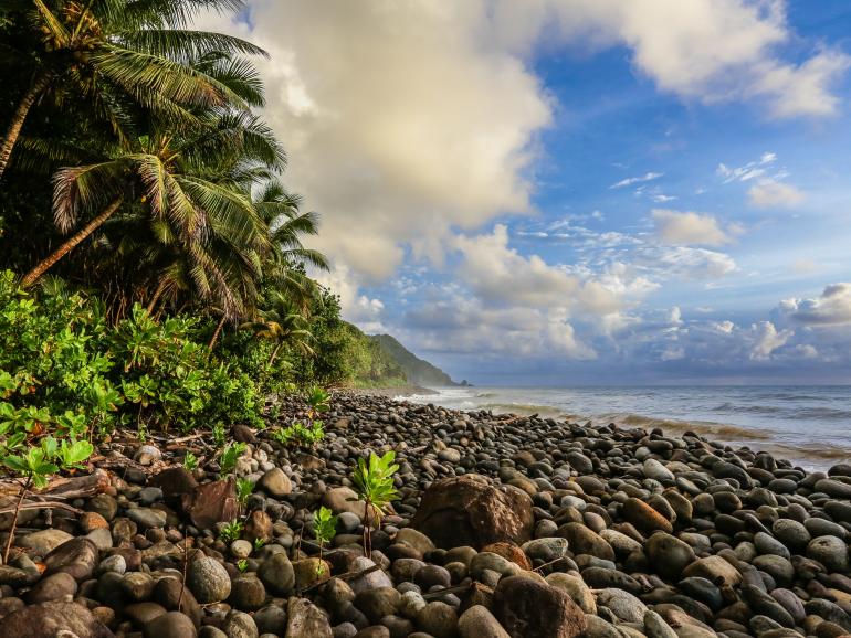 Erlebnisreise Dominica: Ein Paradies für Fotografen