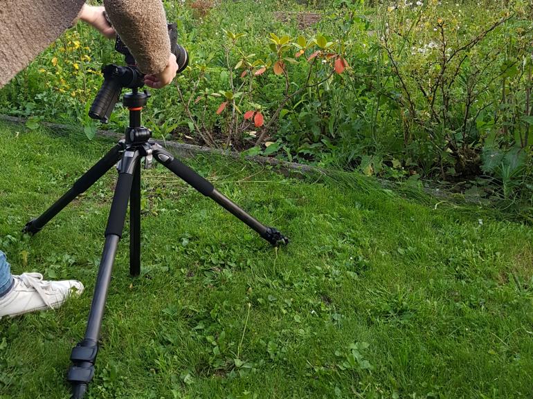 So fotografieren Sie ein schönes Herbstblatt mit einem Teleobjektiv