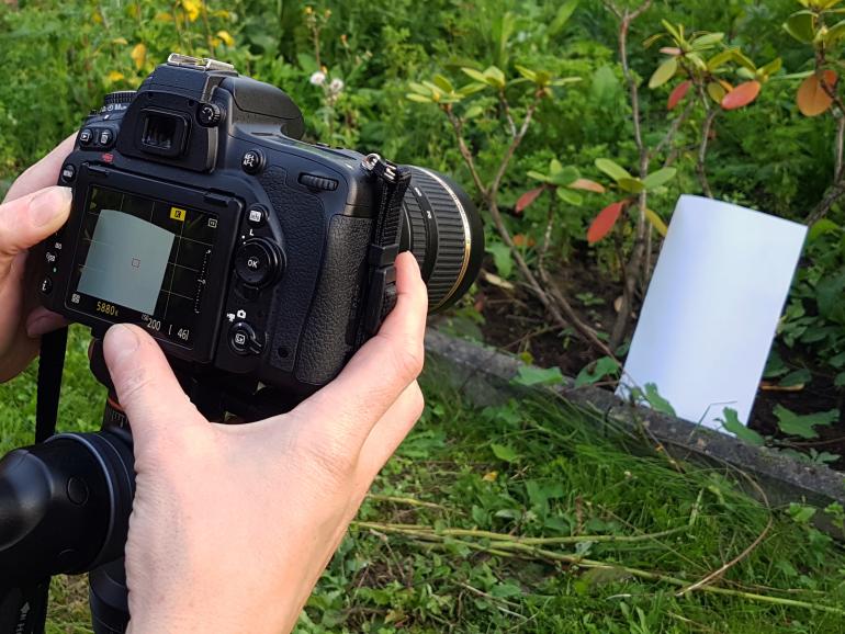 So fotografieren Sie ein schönes Herbstblatt mit einem Teleobjektiv