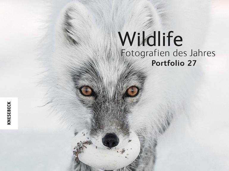 Die beeindruckendsten Wildlifefotos des Jahres