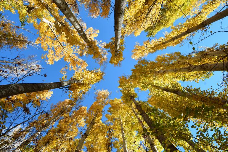 22 Tipps für tolle Fotos im Herbst