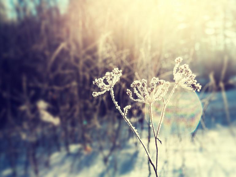 22 Motivvorschläge & Tipps für tolle Winterfotos