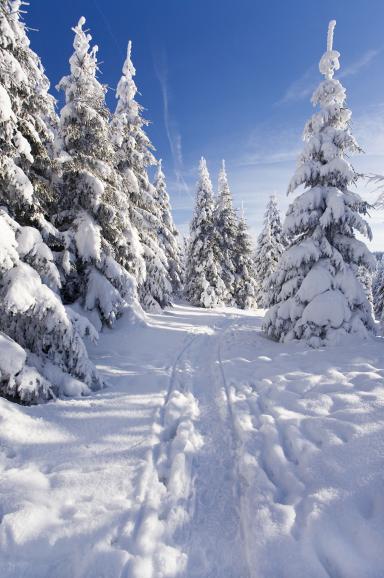 22 Motivvorschläge & Tipps für tolle Winterfotos