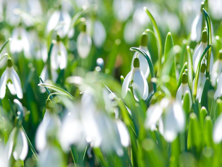 Foto-Basics: offene Blende trotz Sonnenschein