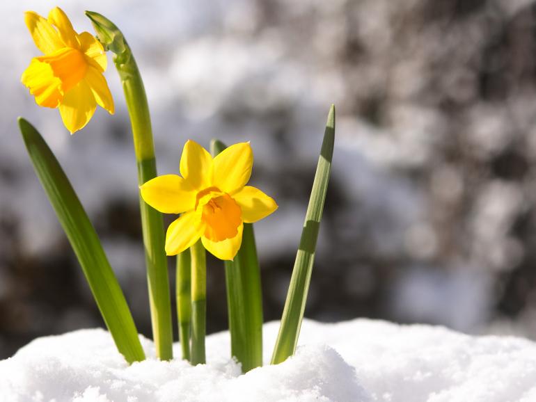 Foto-Basics: Hallo Frühling!