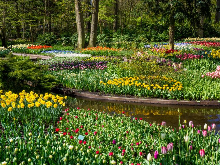 Reiseziele für Fotografen: Die 10 schönsten Gärten Europas