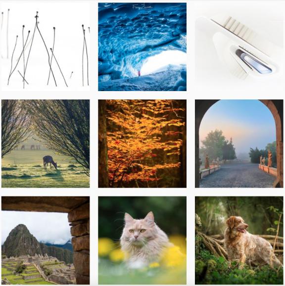 Fotowettbewerb #52Fotos: Nutzen Sie Ihre Chance und zeigen Sie uns Ihre Fotos!