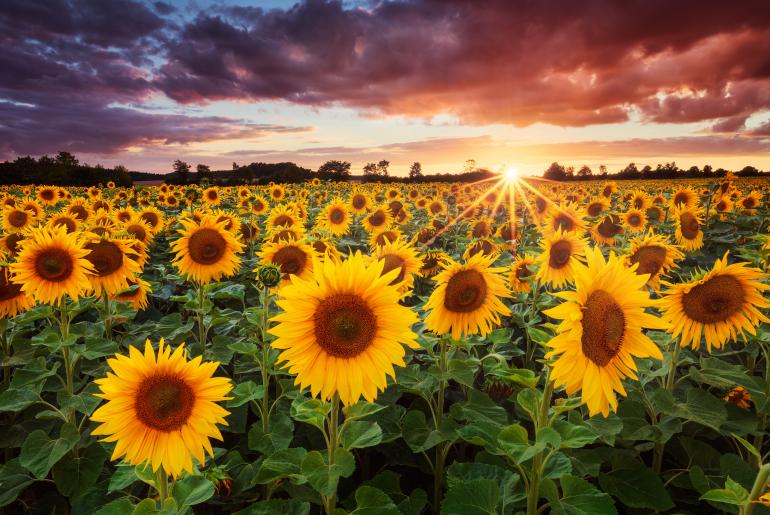 Canon EOS 5D Mark II | 24mm | 1 s | F/22 | ISO 100 | Stack aus 3 Aufnahmen