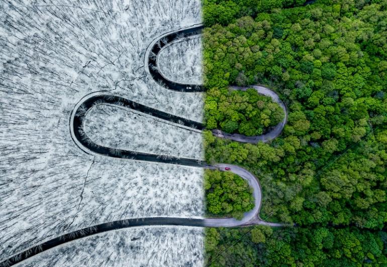 Weather Snake: Kategorie Abstract