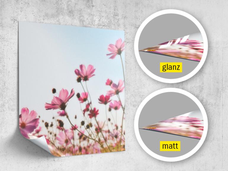 Bei Postern können Sie bei www.bilder.de zwischen den Varianten
matt und glänzend wählen. Die Poster werden auf Premium-Papier mit 250 g/m² Papierstärke gedruckt. Bestellbar sind Größen von 20 x 20 cm bis 300 x 100 cm.