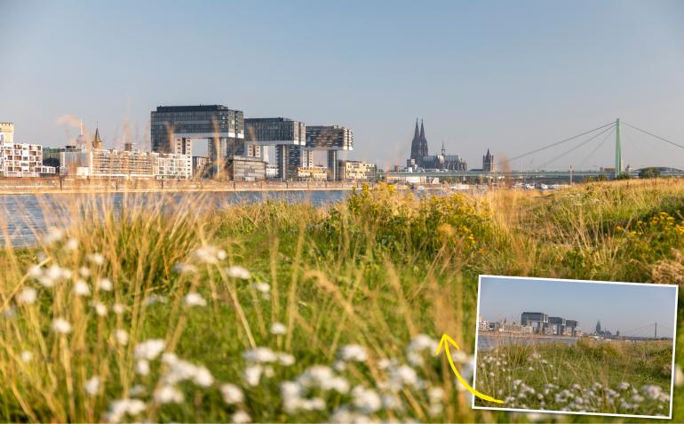 Kölner Skyline: Wir waren mit dem Manfrotto XUME Adapter und mit Manfrotto Filtern in der Rheinmetropole unterwegs - Canon EOS 5D Mark IV | 57mm | 1/6 s | F/4 | ISO 100.