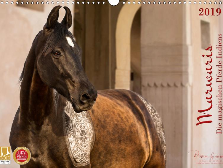 Tierfotografie: Marwaris - Die magischen Pferde Indiens von Picstories by MMK - Miriam Melanie Köhler
