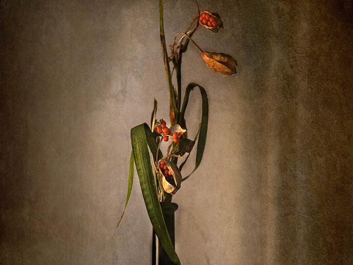 Finalist: &quot;Ikebana&quot;