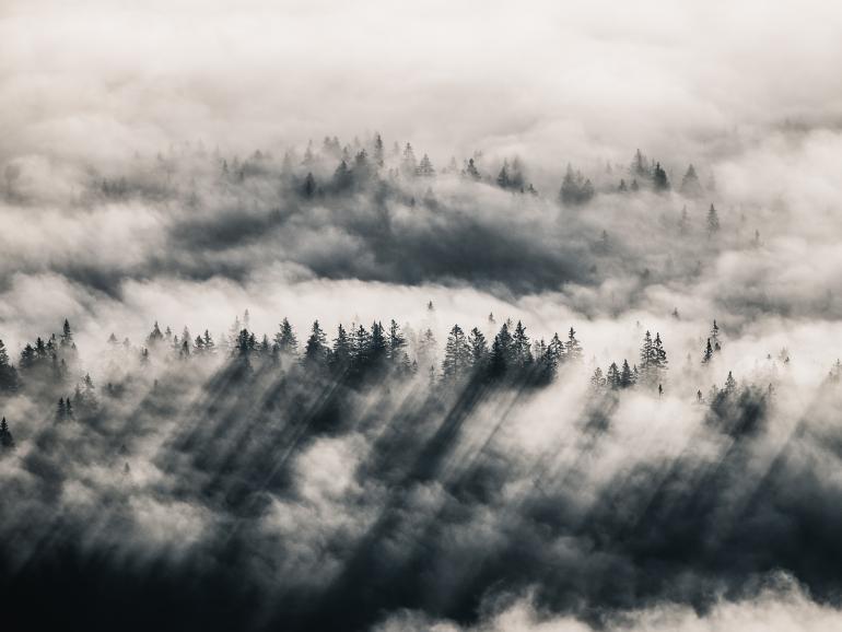 Foto-Basics: Herbst im Nebel