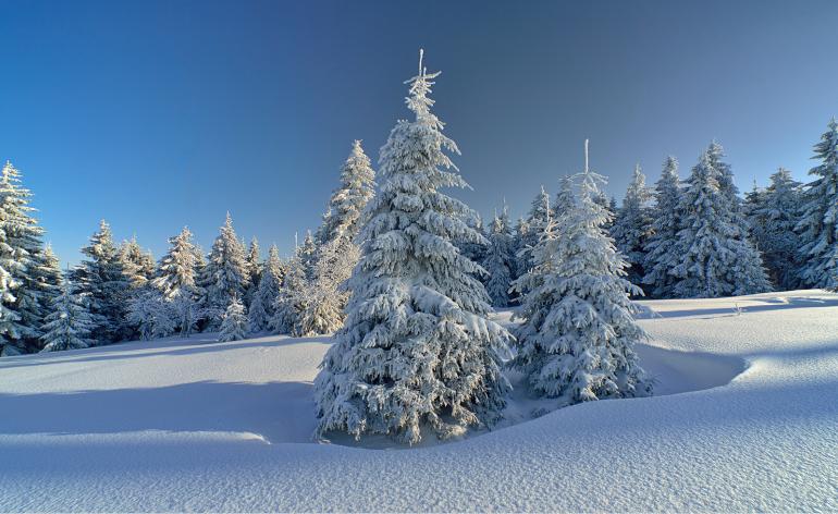 Technische Daten: Brennweite: 12 mm | ISO 50 | 1/80 sec | F/8