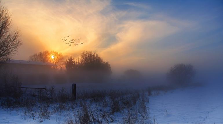 Winterliche Schneelandschaften: 10 Aufnahmen aus unserer Galerie