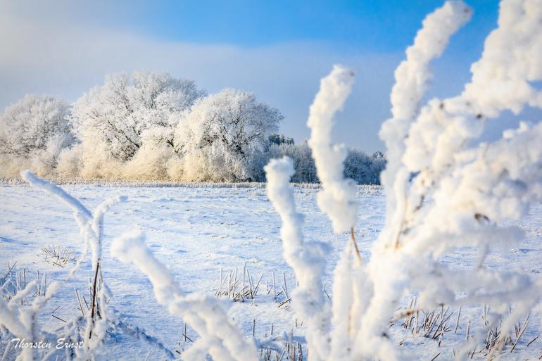 Technische Daten: Canon EOS 60D | Brennweite: 46 mm | ISO 100 | 1/60 sec | F/14