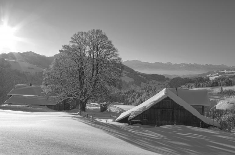 Technische Daten: Canon EOS 5D | Brennweite: 30 mm | ISO 100 | 1/500 sec | F/13