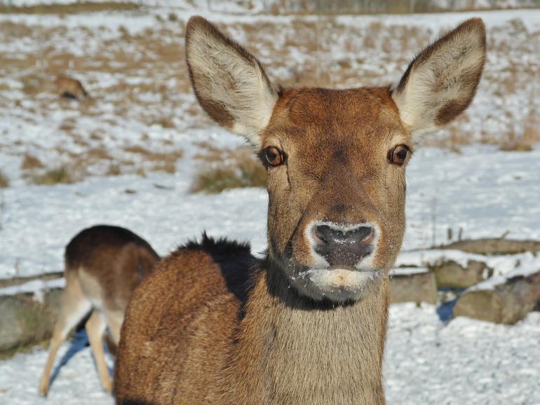 22 Motivvorschläge & Tipps für tolle Winterfotos