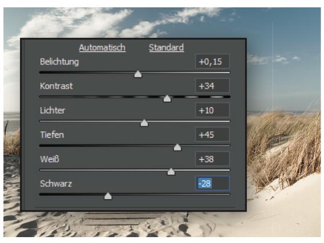 Die Grundeinstellungen in Camera Raw - Photoshop einfach erklärt