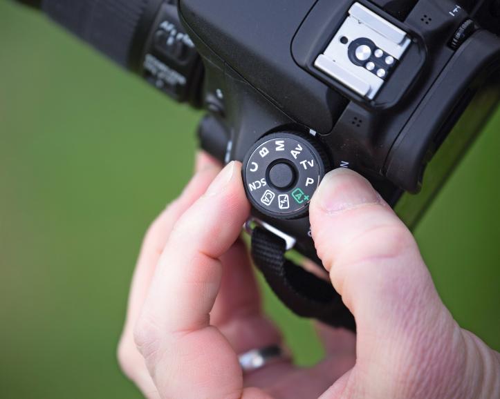 Die besten Fototipps für Ihre Kamera - Fokus und ISO-Wert