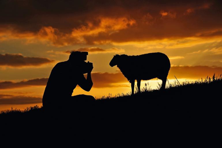 Die besten Fototipps für Ihre Kamera - Einstellungen & Objetkive