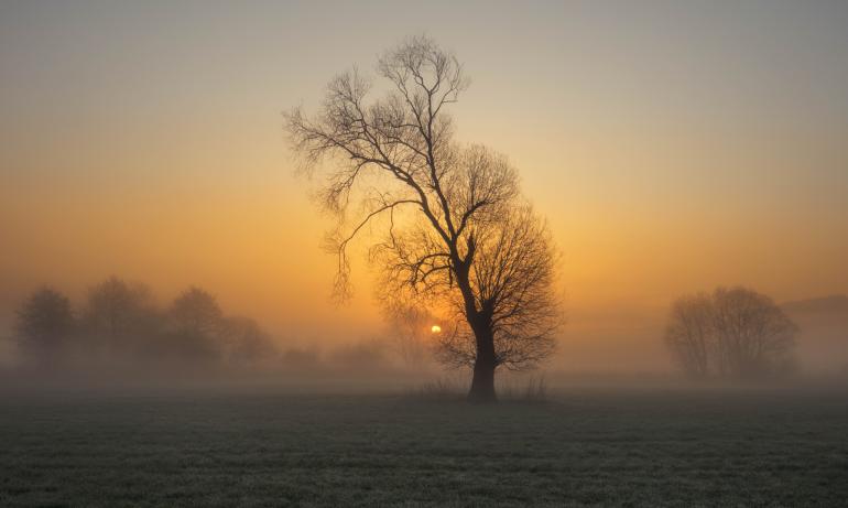 Landschaftsfotografie-Workshop mit Profifotografin Lena Held zu gewinnen