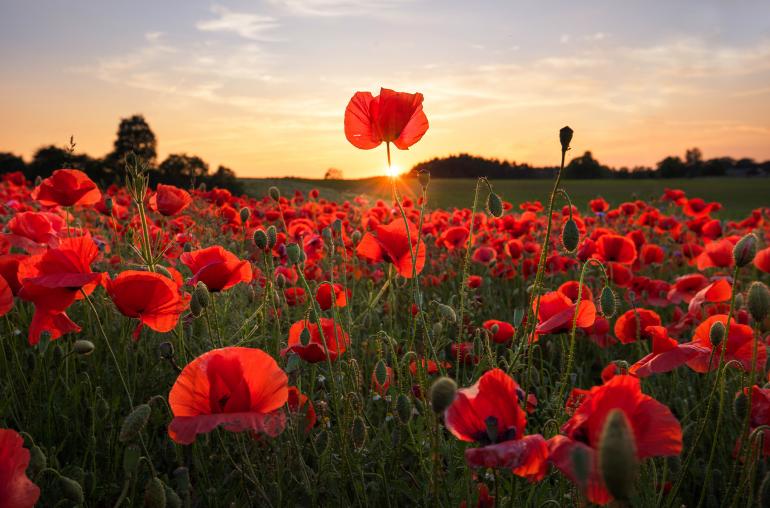 Landschaftsfotografie-Workshop mit Profifotografin Lena Held zu gewinnen