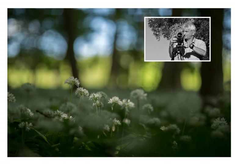 FOTOKURS: WALDFOTOGRAFIE
16. – 19. MAI 2019