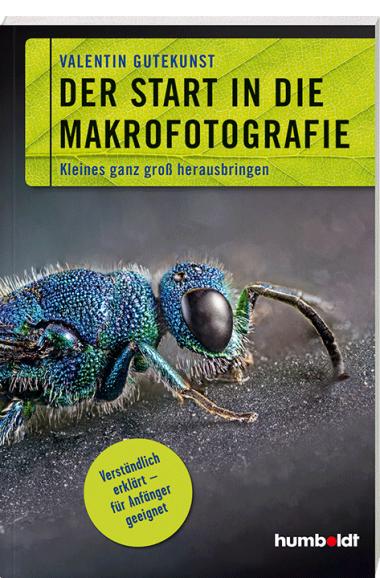 Schöne Fotos trotz Corona: 5 geniale Tipps für Makro-Fans