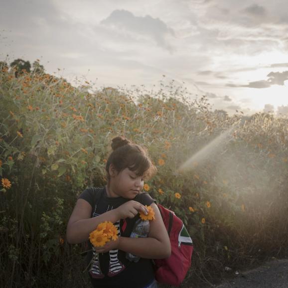 World Press Photo of the year nominees