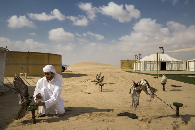 World Press Photo Contests 2019: Das sind die Gewinner