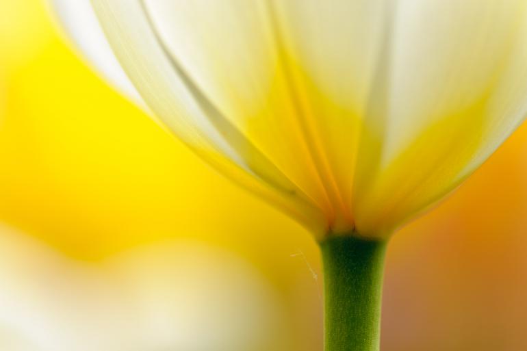 Fotografieren lernen: Fotokurs im April