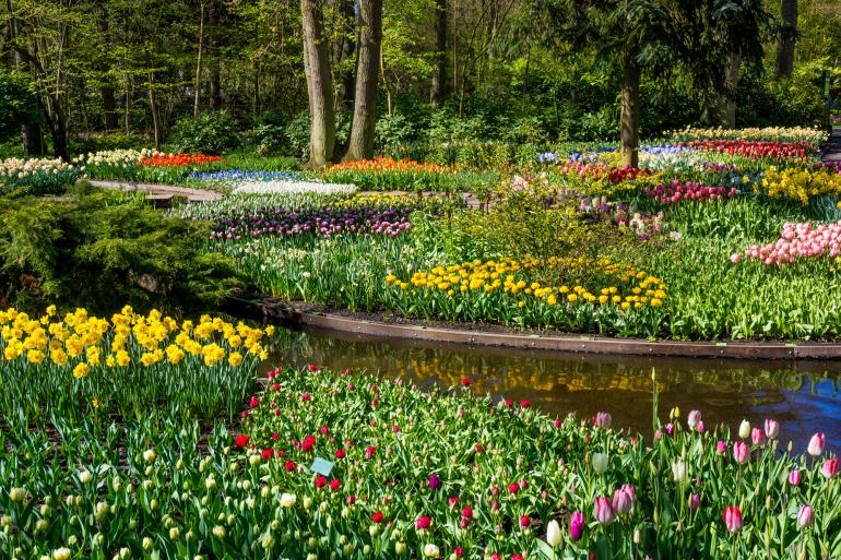 Beliebte Urlaubsziele für Fotografen: Benelux