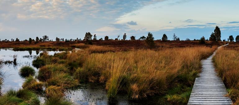 Beliebte Urlaubsziele für Fotografen: Benelux