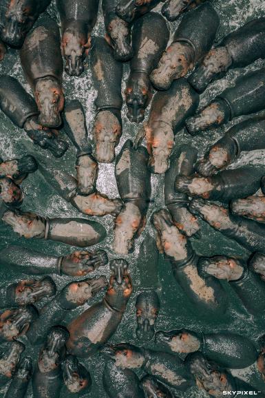 SkyPixel: Das sind die besten Luftaufnahmen des Jahres 2018