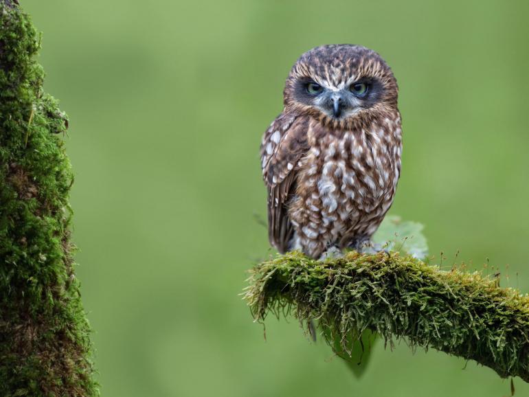 DigitalPHOTO Fotowettbewerb: Das sind die Gewinner der "52 Fotoaufgaben"