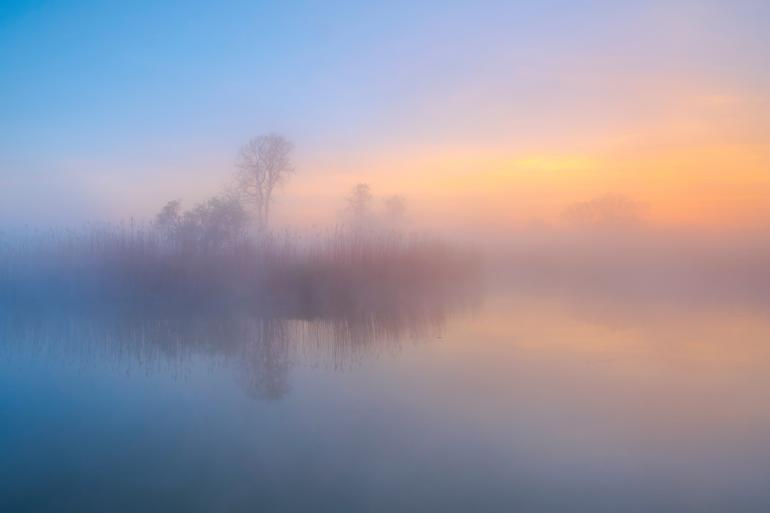 Naturfotografie: GDT Naturfotograf des Jahres 2019, die Gewinner stehen fest! 