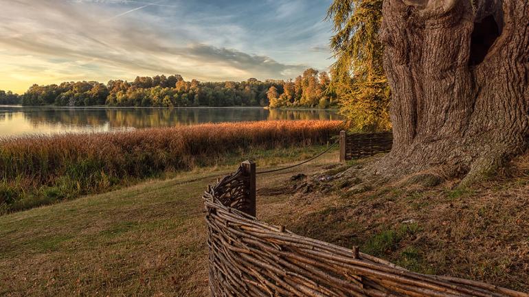 5 traumhafte Aufnahmen: International Garden Photographer of the Year