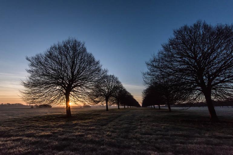 5 traumhafte Aufnahmen: International Garden Photographer of the Year