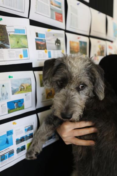 Ein Hund im Büro?! Wir stellen unser jüngstes Redaktions-Mitglied vor