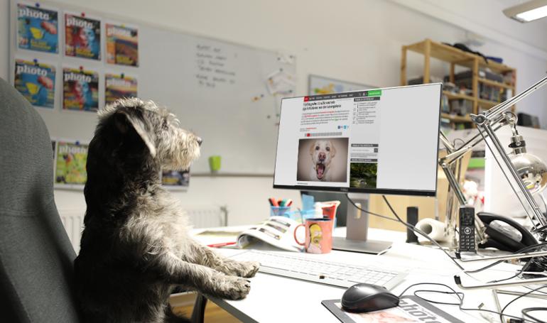 Ein Hund im Büro?! Wir stellen unser jüngstes Redaktions-Mitglied vor
