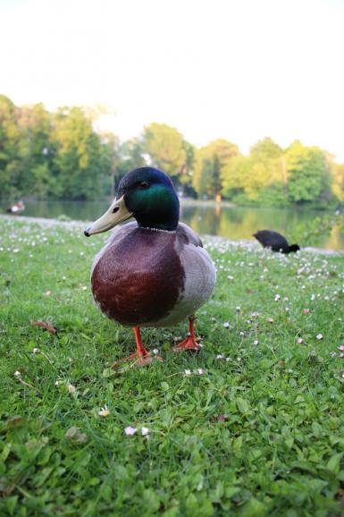 Canon EOS 250D | 18mm | 1/80 s | F/4 | ISO 400