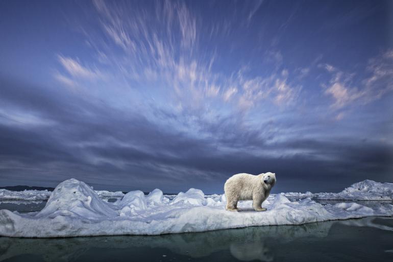 Die 10 besten Wildlife-Fotos: Leserwettbewerb 2019