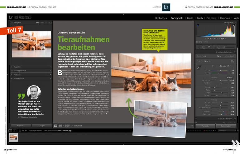 Neu! DigitalPHOTO 10/2019 - Perfekte Bildschärfe und Canon EOS 90D im ersten Test